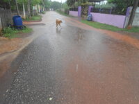DSCN0438.JPG