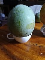 IMG_20260629_200705_036.jpg