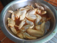 DSCN0377.JPG