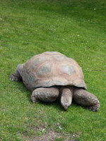 Duitsland-Hamburg ''Hagenbeck'' (65).JPG