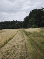 IMG_20260630_140755.jpg