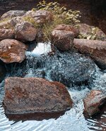 IMG_20260630_215140.jpg