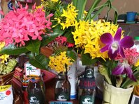 IMG_20260629_122108_636.jpg