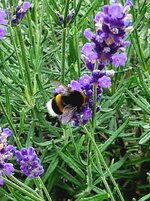 20260630_083949.jpg