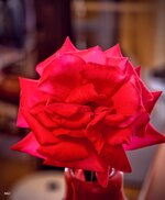 IMG_20260701_125553.jpg
