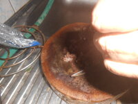 DSCN0401.JPG