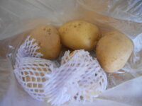 DSCN0417.JPG