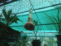 DSCN0664.JPG