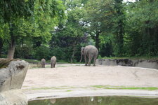 Duitsland-Hamburg ''Hagenbeck'' (68).JPG