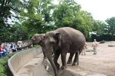 Duitsland-Hamburg ''Hagenbeck'' (69).JPG