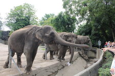 Duitsland-Hamburg ''Hagenbeck'' (70).JPG