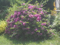 DSCN0457.JPG