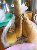 DSCN0410~4.JPG DSCN0410~4.JPG