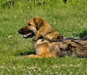 IMG_20260701_171715.jpg