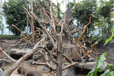 Duitsland-Hamburg ''Hagenbeck'' (72).JPG