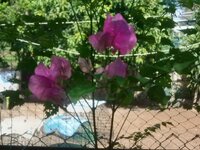 DSCN0759~2.JPG