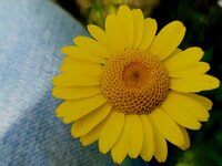 20260623_090801.jpg
