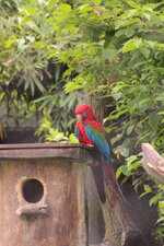 Duitsland-Hamburg ''Hagenbeck'' (85).JPG