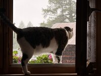 IMG_0679.jpeg