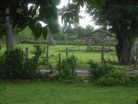 DSCN0436.JPG DSCN0436.JPG