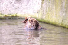 Duitsland-Hamburg ''Hagenbeck'' (90).JPG