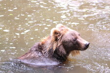 Duitsland-Hamburg ''Hagenbeck'' (91).JPG