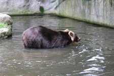 Duitsland-Hamburg ''Hagenbeck'' (92).JPG