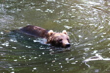 Duitsland-Hamburg ''Hagenbeck'' (93).JPG