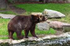 Duitsland-Hamburg ''Hagenbeck'' (95).JPG