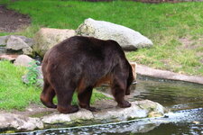 Duitsland-Hamburg ''Hagenbeck'' (96).JPG