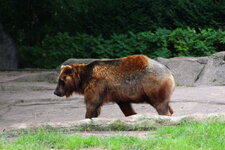 Duitsland-Hamburg ''Hagenbeck'' (97).JPG