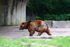 Duitsland-Hamburg ''Hagenbeck'' (98).JPG