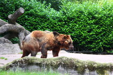 Duitsland-Hamburg ''Hagenbeck'' (99).JPG