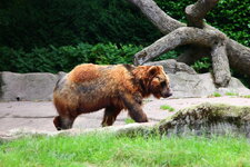 Duitsland-Hamburg ''Hagenbeck'' (100).JPG