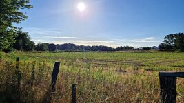20260703_074505.jpg