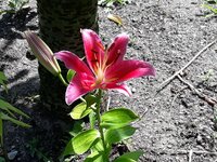 IMG-20260702-WA0011.jpg