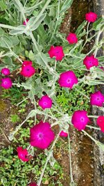 20260603_080602.jpg