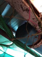 IMG_20260706_141935_237.jpg IMG_20260706_141935_237.jpg