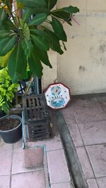 WP_20160919_15_36_52_Pro.jpg WP_20160919_15_36_52_Pro.jpg