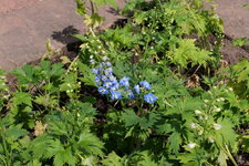 P1000155.JPG