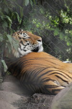 Duitsland-Hamburg ''Hagenbeck'' (113).JPG