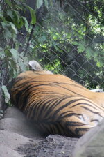 Duitsland-Hamburg ''Hagenbeck'' (114).JPG