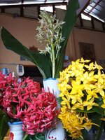 IMG_20260612_104109_745.jpg