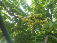 DSCN0822.JPG DSCN0822.JPG