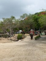 IMG_1080.jpg