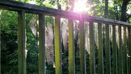 20260702_065930.jpg
