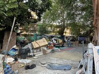 IMG_6835.jpeg
