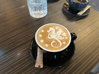 IMG_8772.jpeg