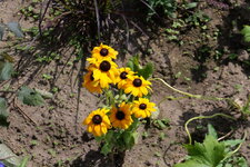 P1000164.JPG
