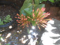 DSCN0752.JPG